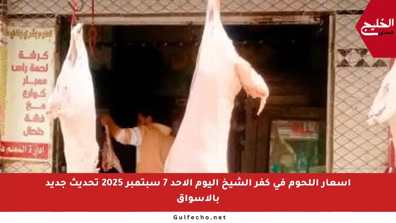 أسعار اللحوم في كفر الشيخ اليوم الأحد 7 سبتمبر 2025 تحديث جديد بالأسواق